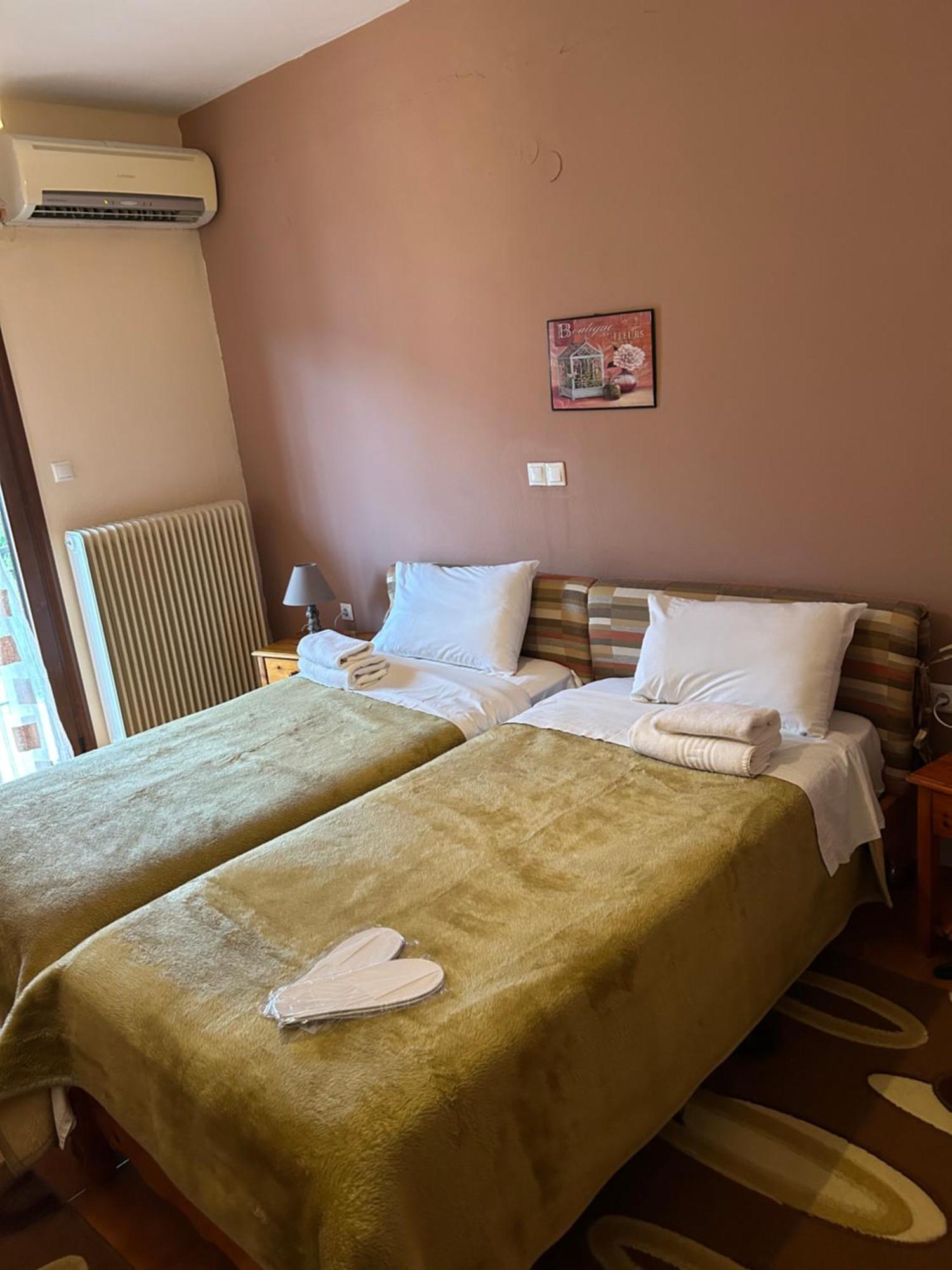 Hotel Aoos Konitsa Ngoại thất bức ảnh
